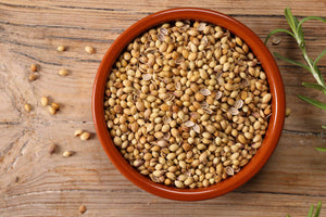 Coriander