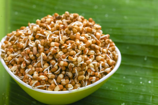 Moth Beans / Moth Dal