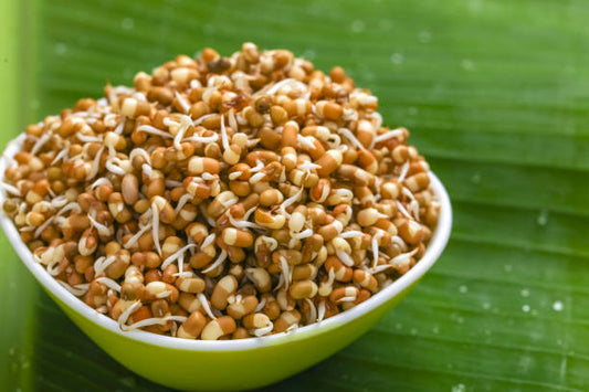 Moth Beans / Moth Dal