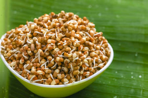 Moth Beans / Moth Dal